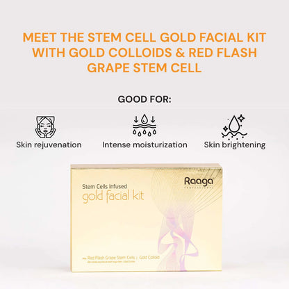 Raaga Gold Facial Kit